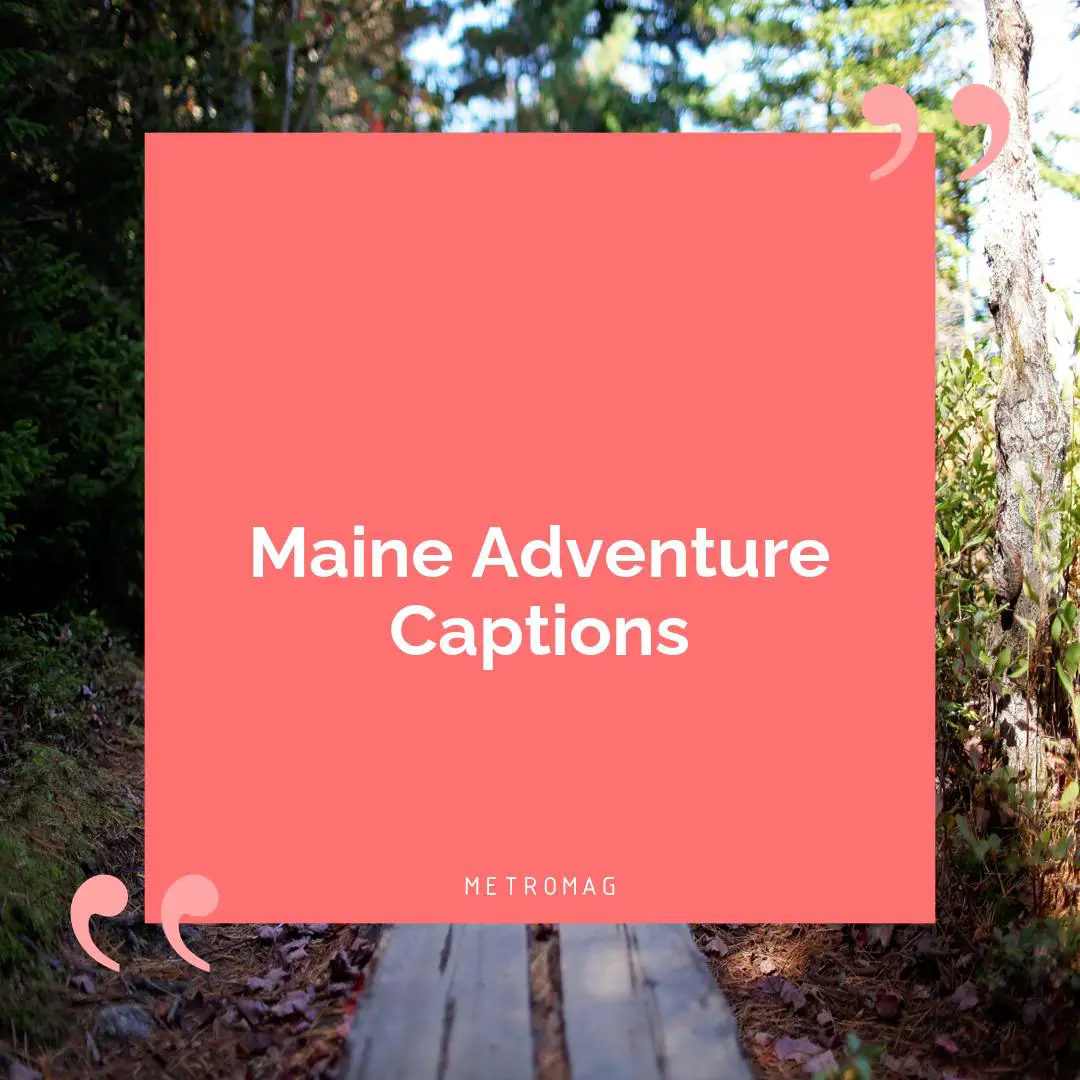 Maine Adventure Captions