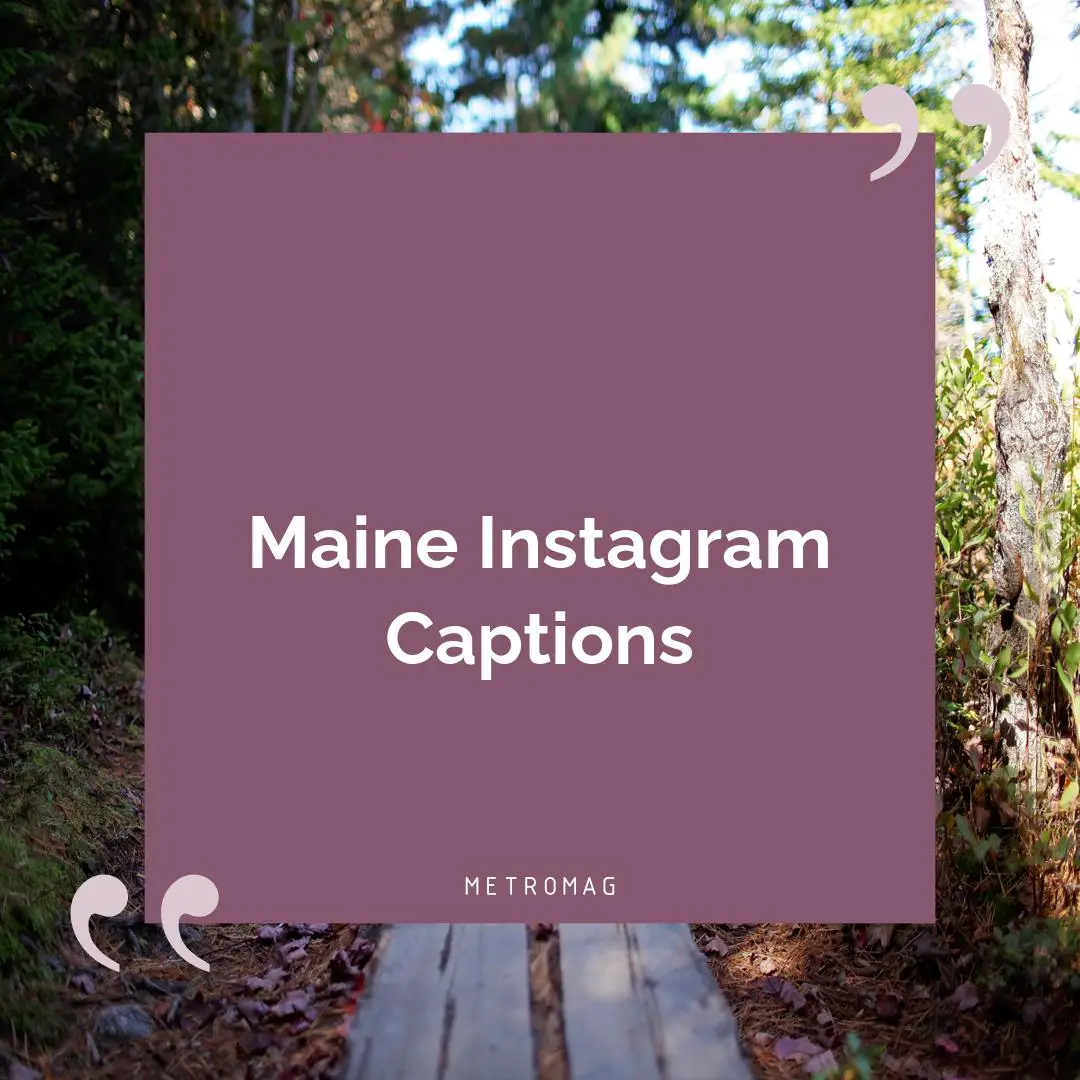 Maine Instagram Captions