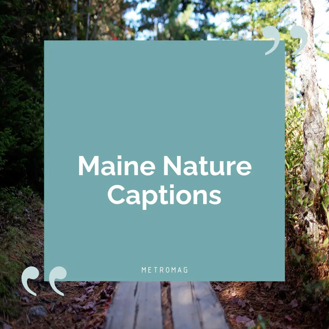 Maine Nature Captions