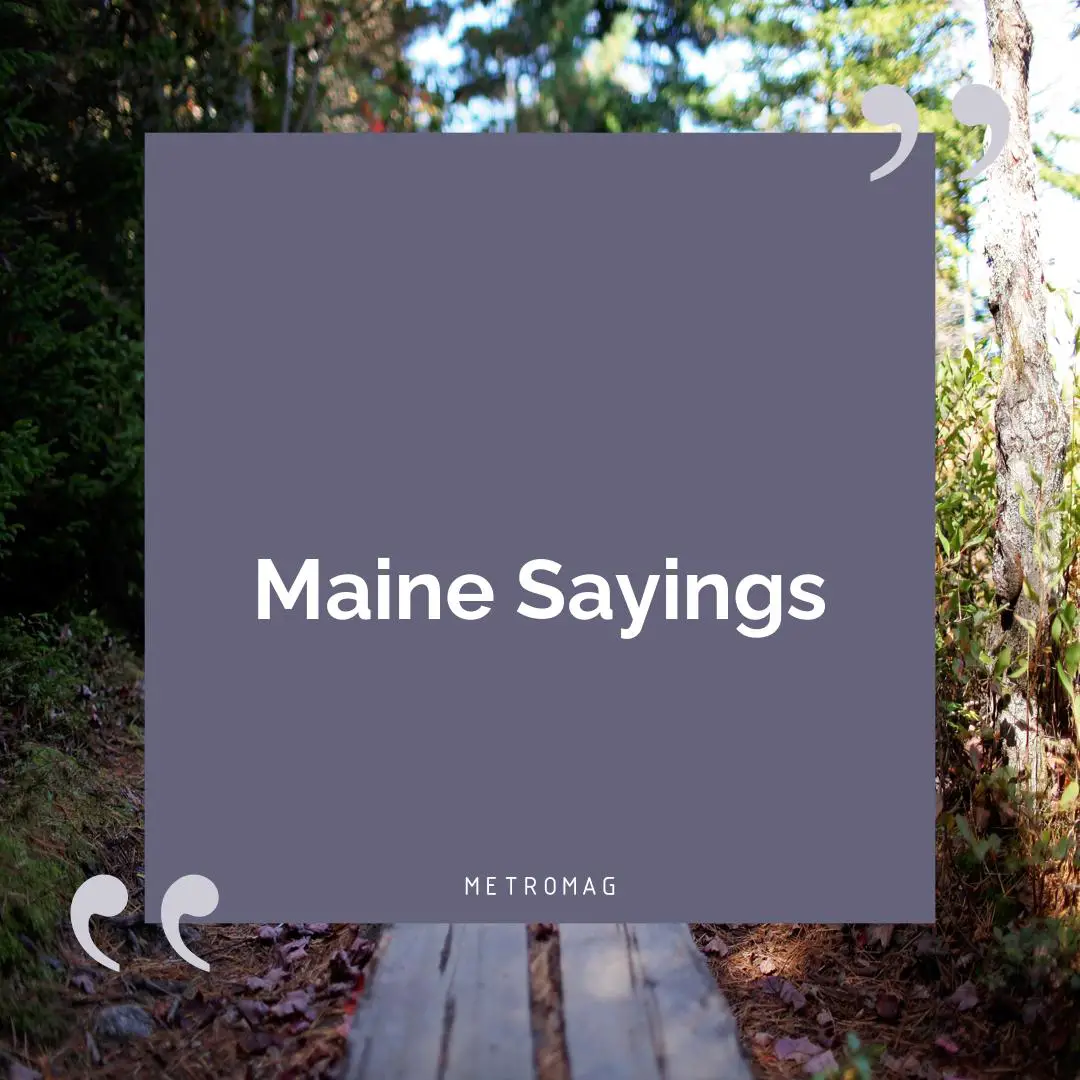 Maine Sayings