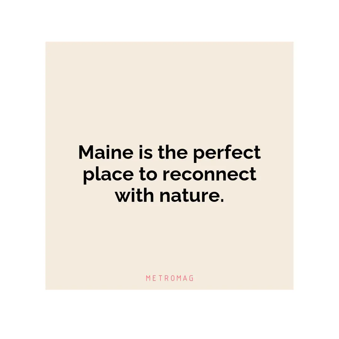 Maine is the perfect place to reconnect with nature.