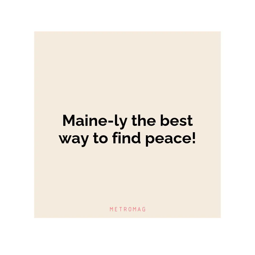 Maine-ly the best way to find peace!