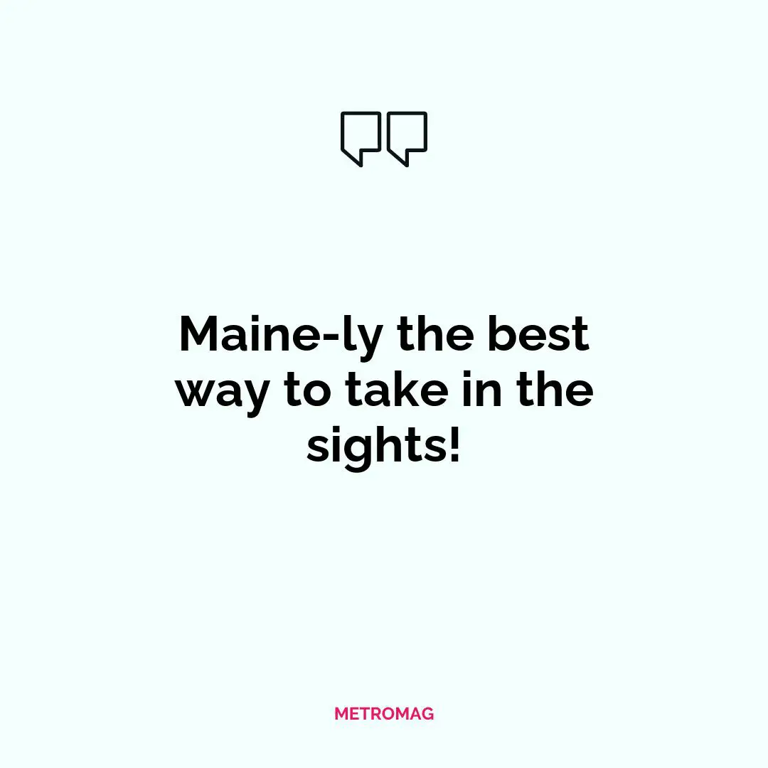 Maine-ly the best way to take in the sights!