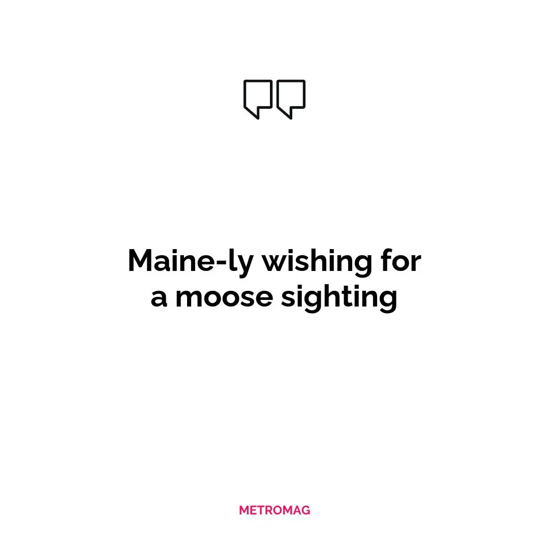 Maine-ly wishing for a moose sighting