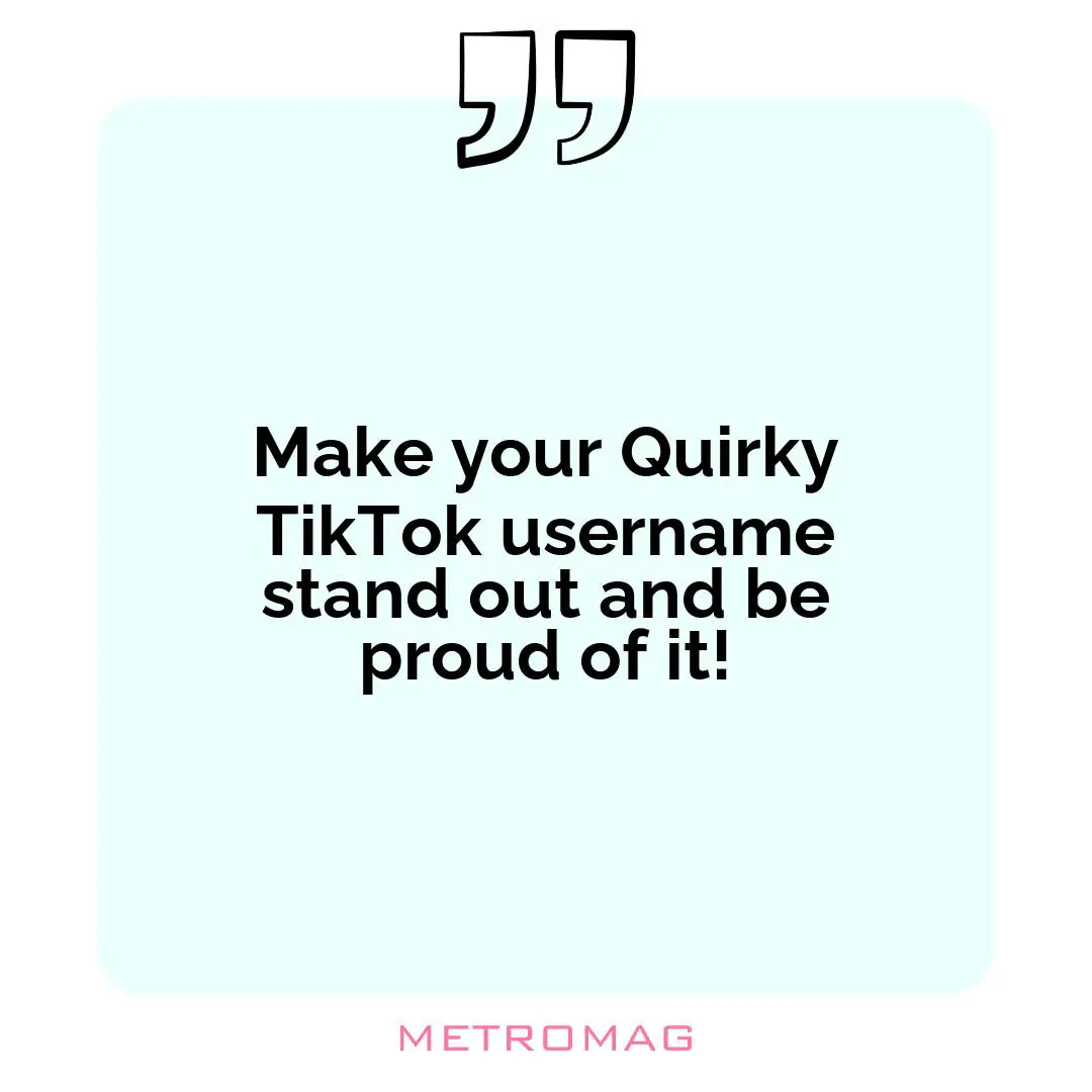 Make your Quirky TikTok username stand out and be proud of it!