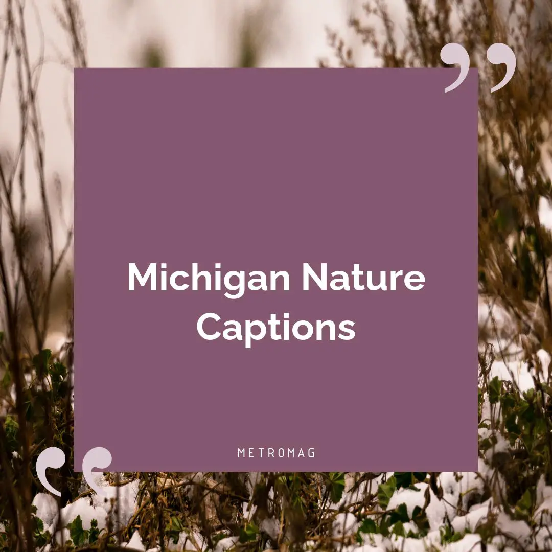 Michigan Nature Captions