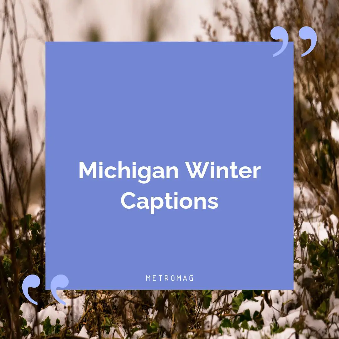 Michigan Winter Captions