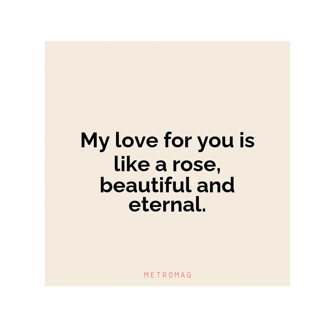 My love for you is like a rose, beautiful and eternal.