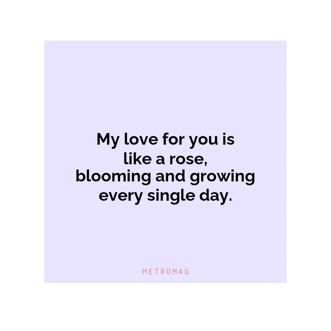 My love for you is like a rose, blooming and growing every single day.