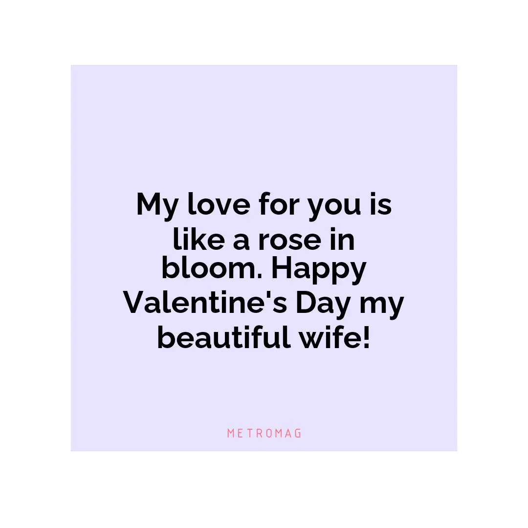 My love for you is like a rose in bloom. Happy Valentine's Day my beautiful wife!