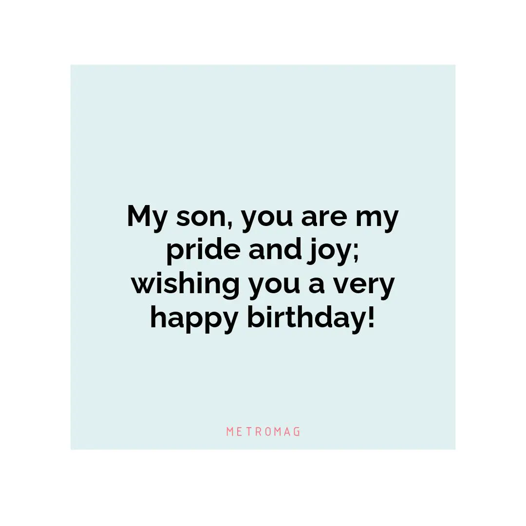 My son, you are my pride and joy; wishing you a very happy birthday!