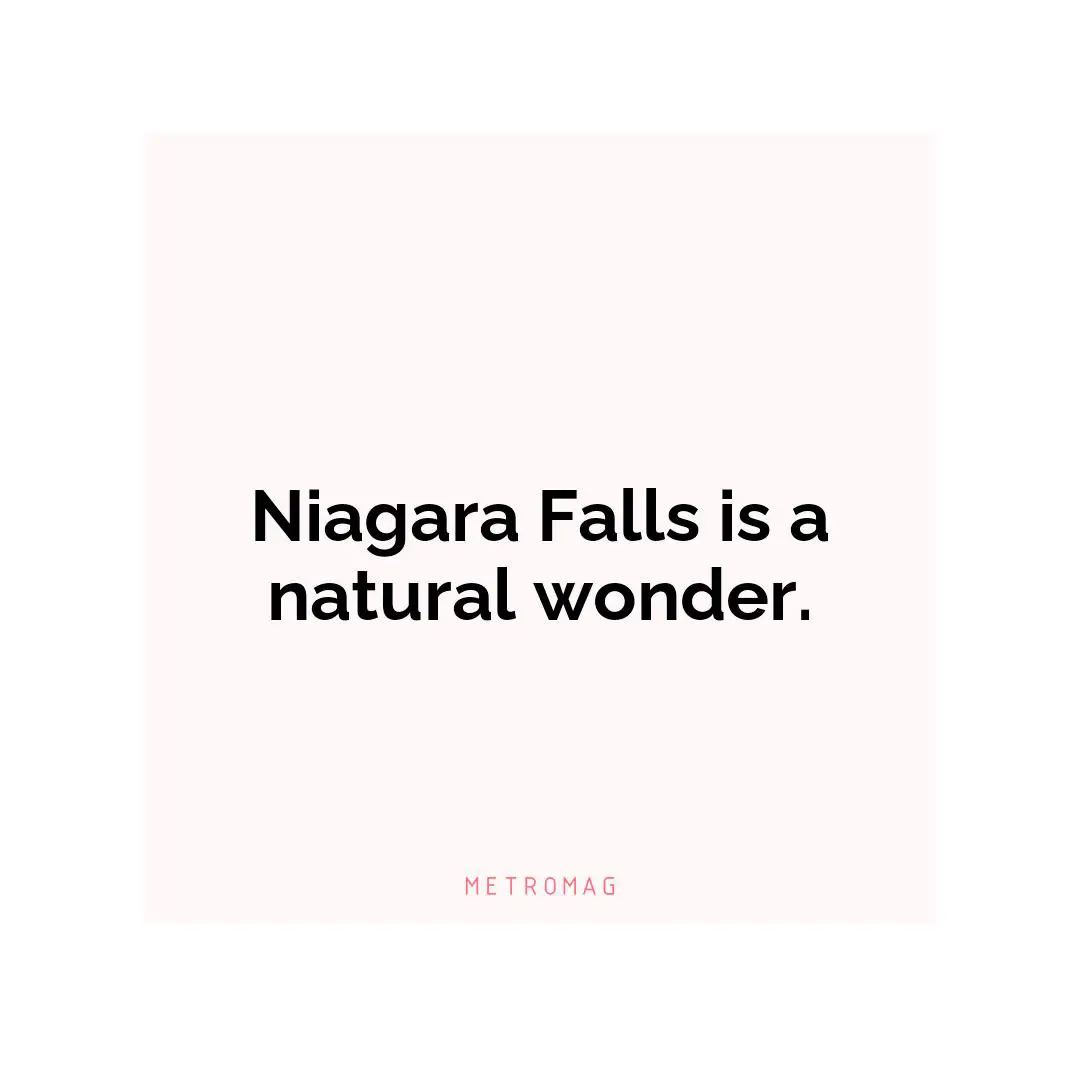 Niagara Falls is a natural wonder.