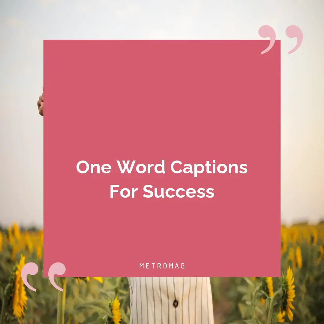One Word Captions For Success