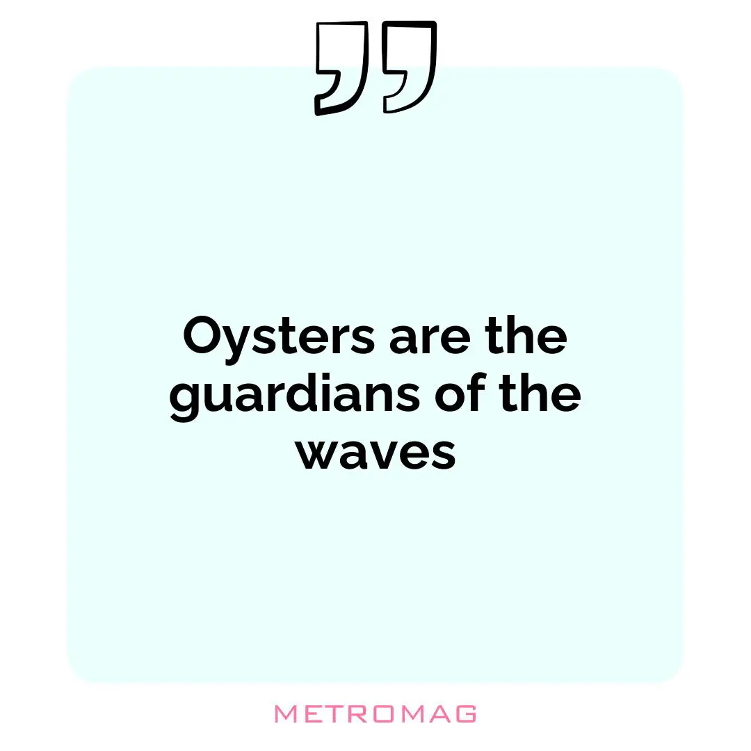 Oysters are the guardians of the waves