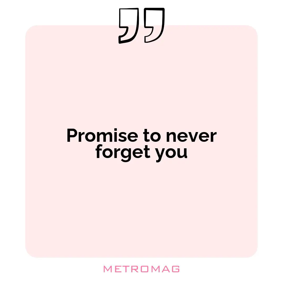 Promise to never forget you
