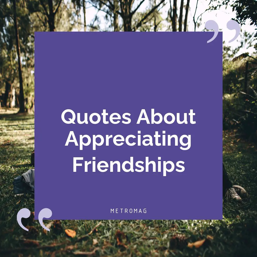Quotes About Appreciating Friendships