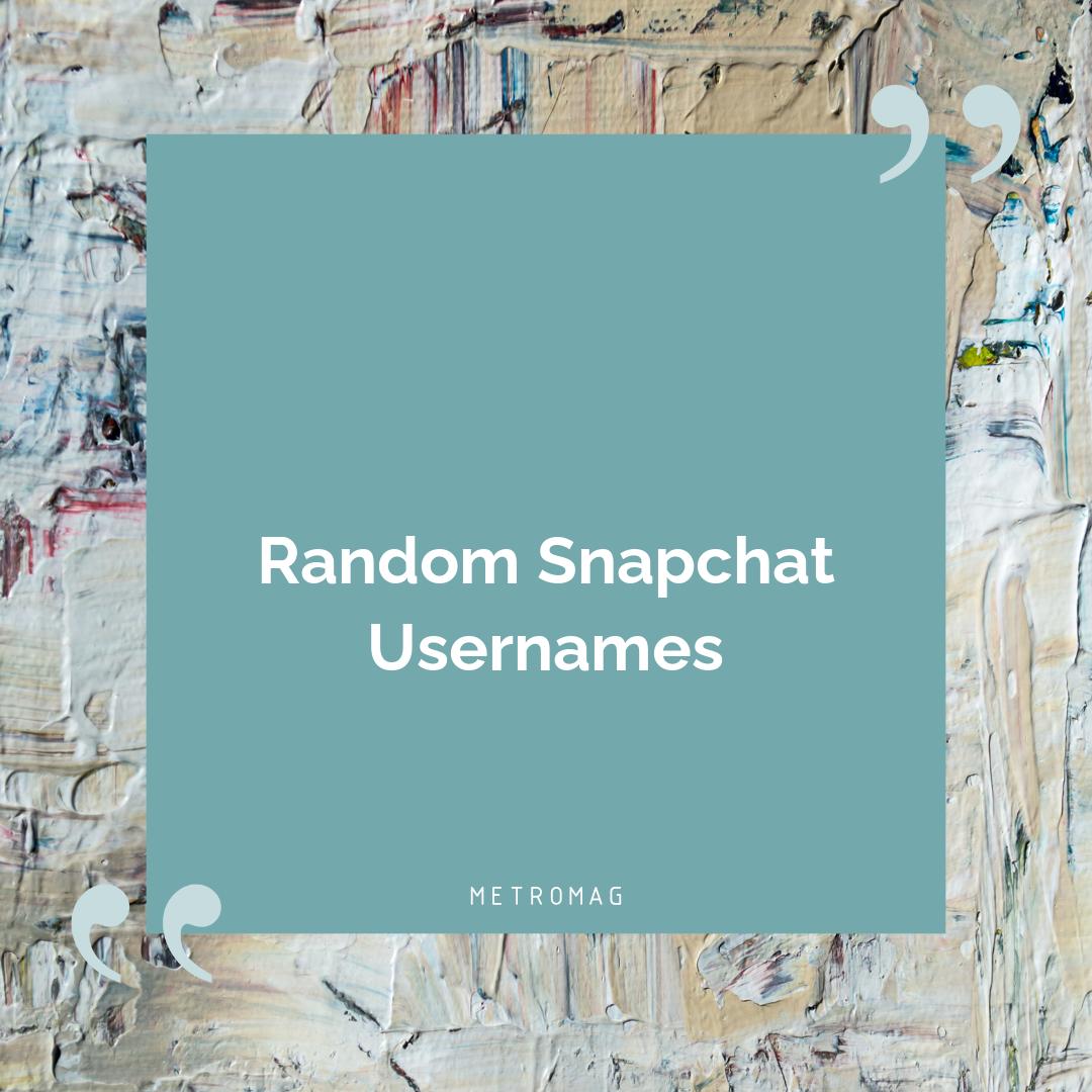 Random Snapchat Usernames