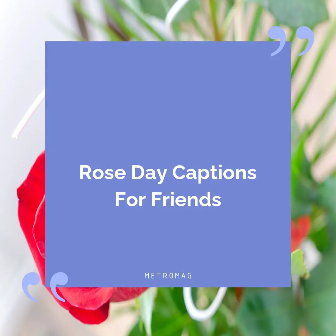 Rose Day Captions For Friends