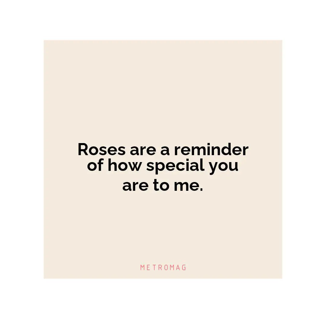 Roses are a reminder of how special you are to me.