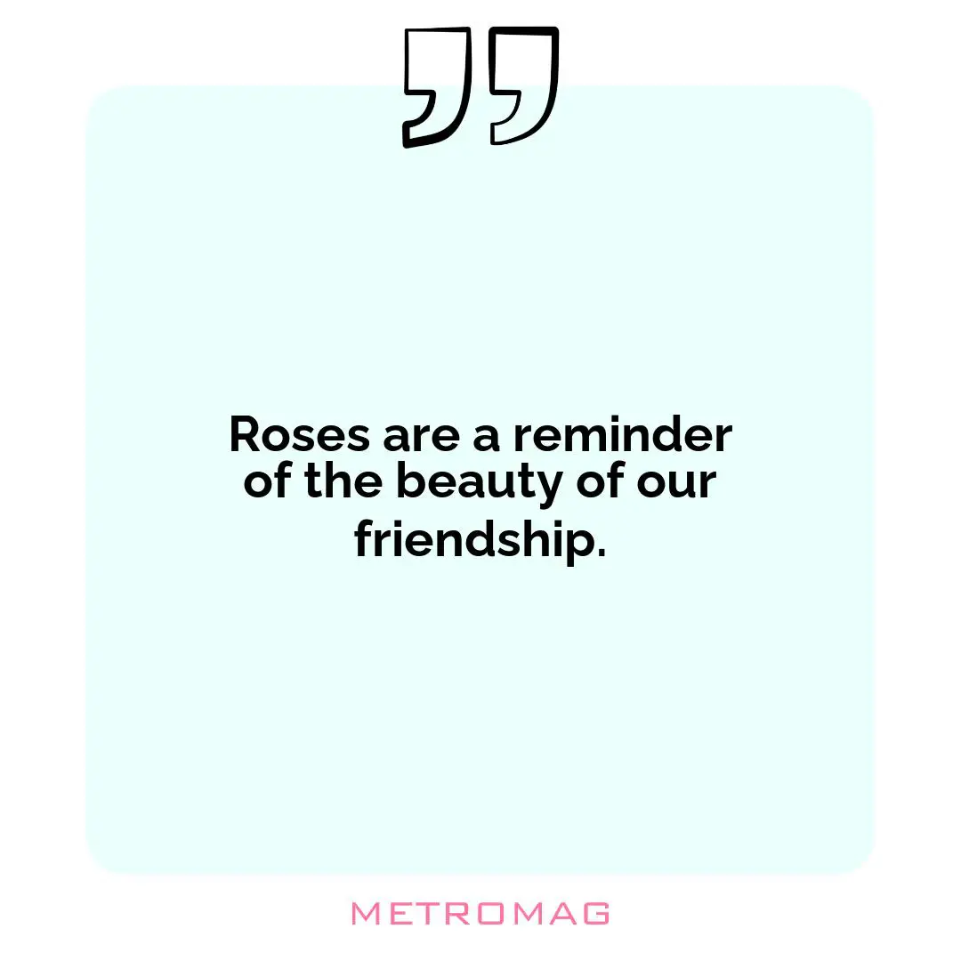 Roses are a reminder of the beauty of our friendship.