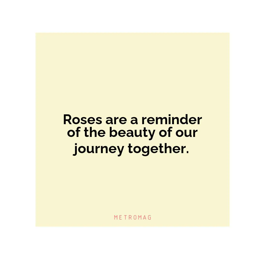 Roses are a reminder of the beauty of our journey together.