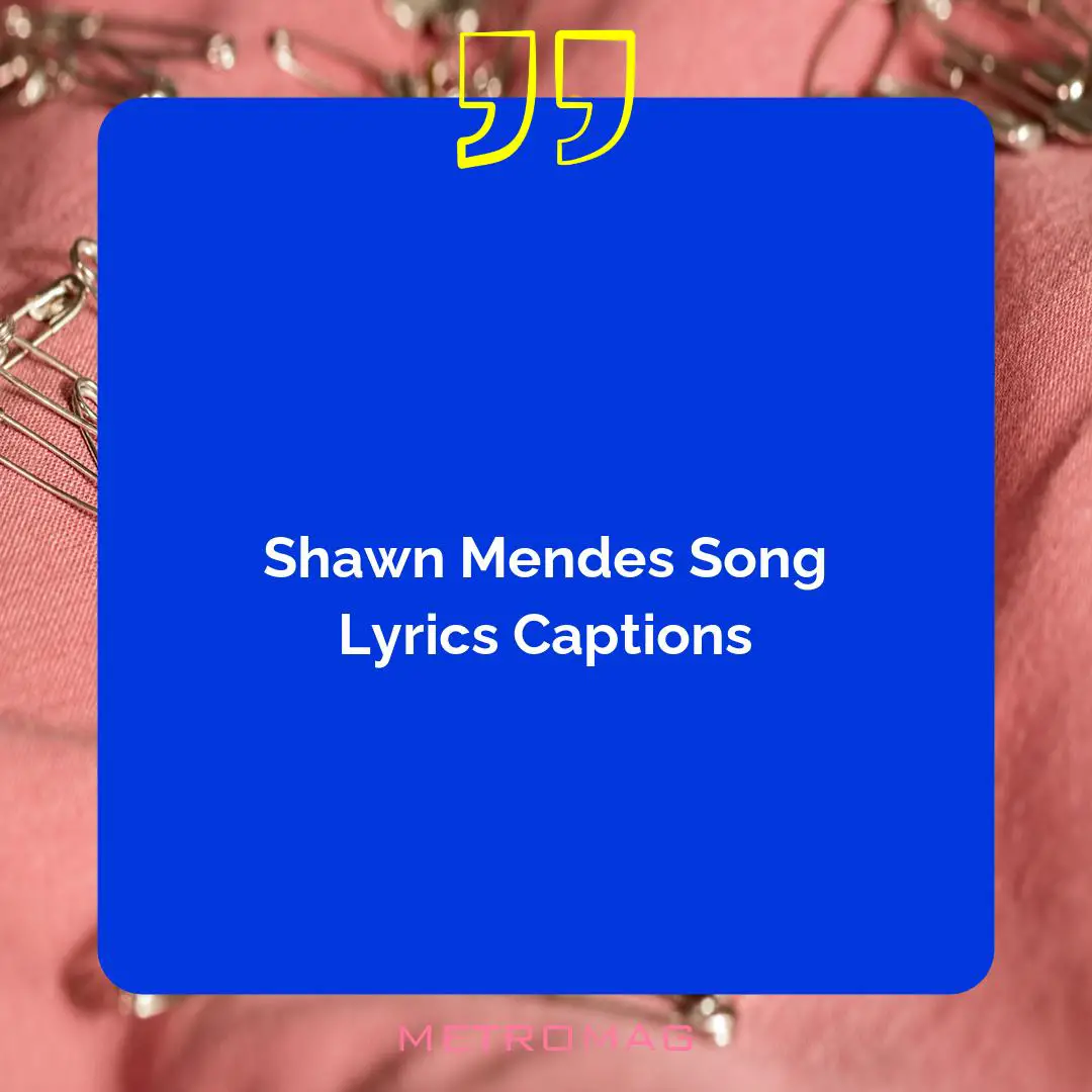 Shawn Mendes Song Lyrics Captions