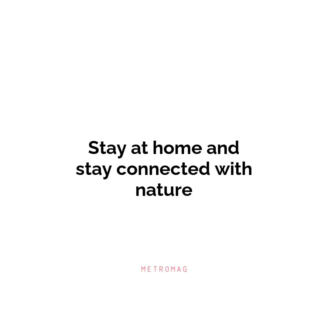 Stay at home and stay connected with nature