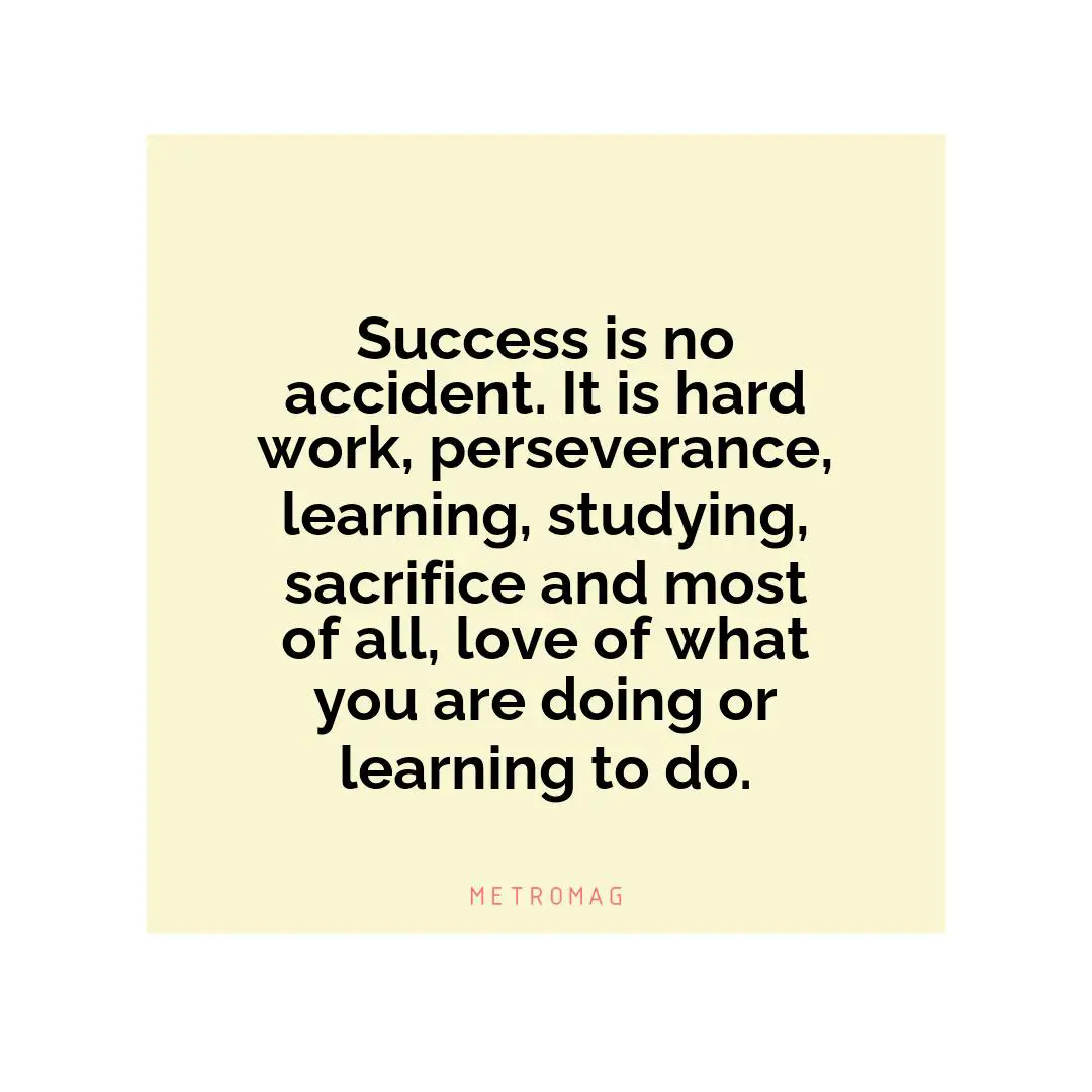 Success is no accident. It is hard work, perseverance, learning, studying, sacrifice and most of all, love of what you are doing or learning to do.