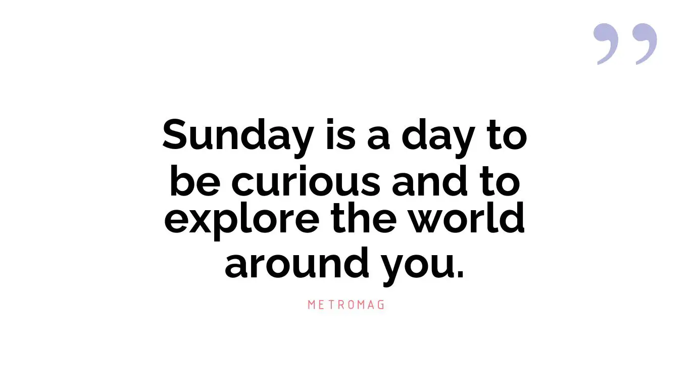 Sunday is a day to be curious and to explore the world around you.