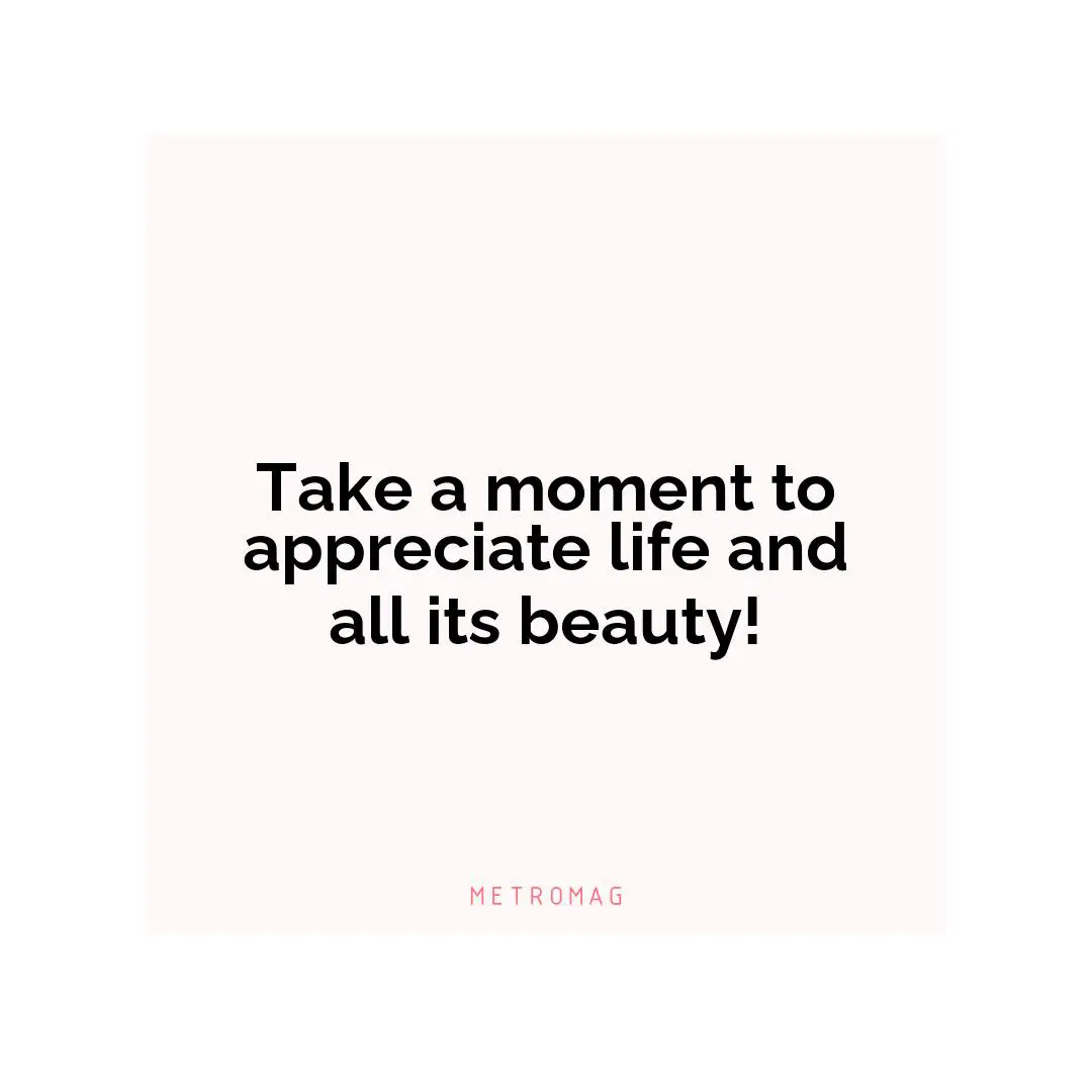 Take a moment to appreciate life and all its beauty!