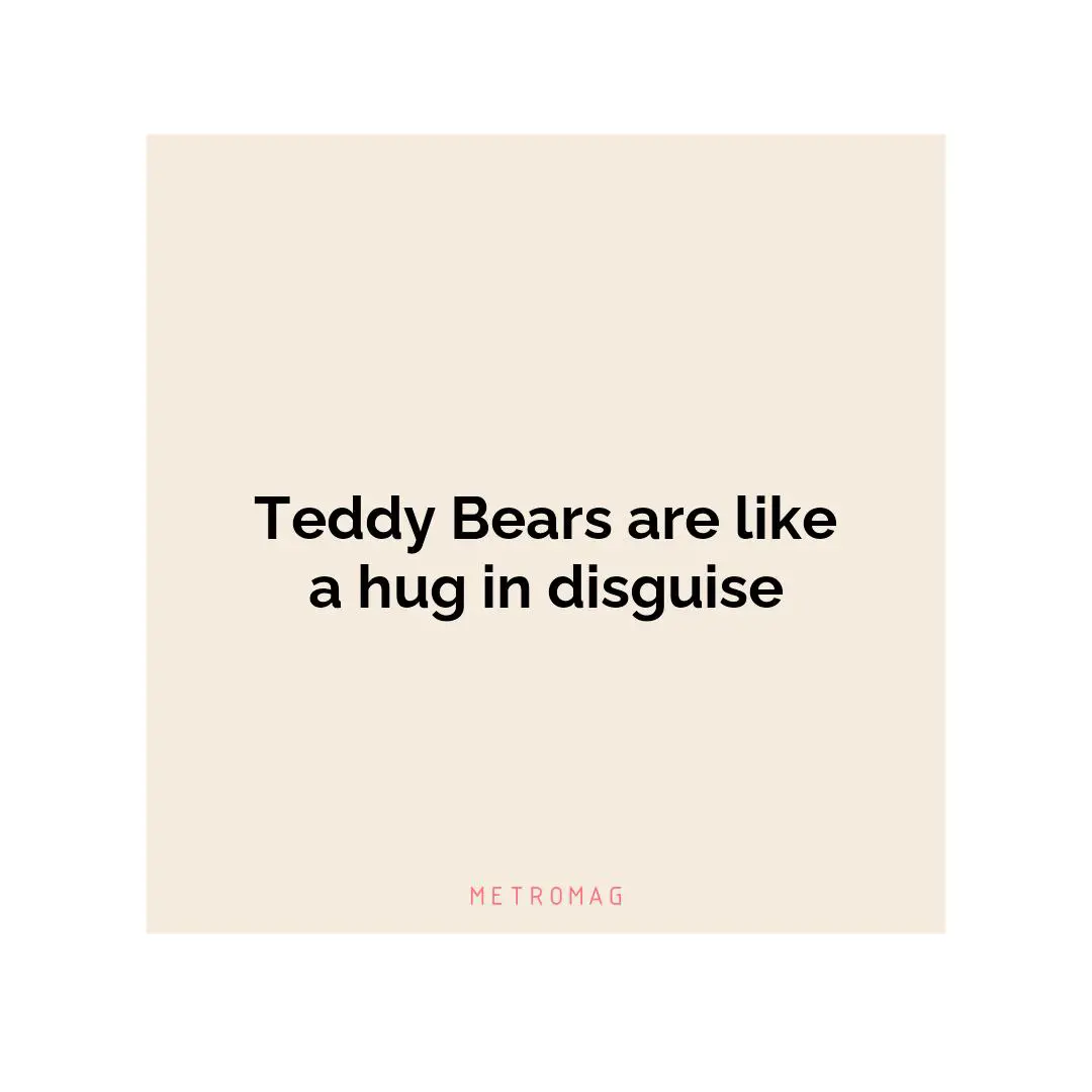 Teddy Bears are like a hug in disguise