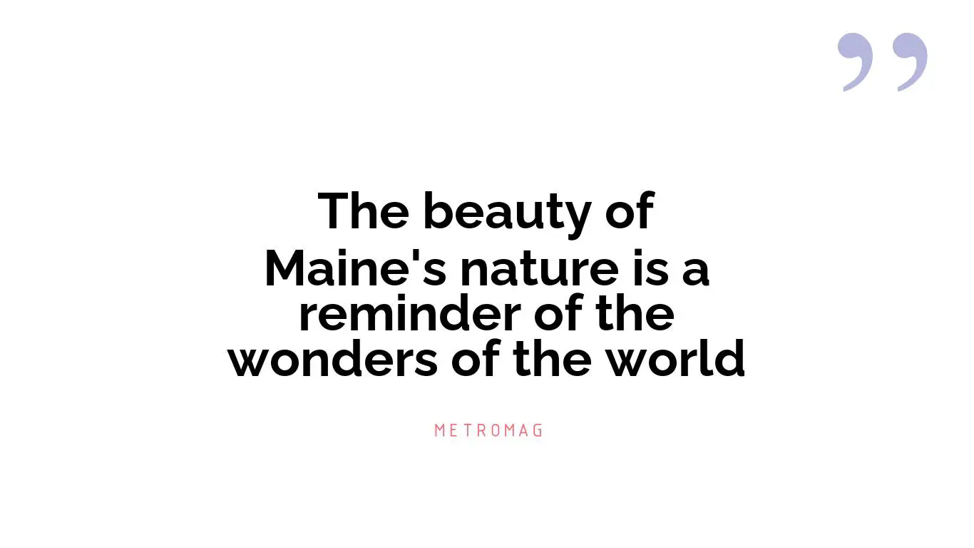 The beauty of Maine's nature is a reminder of the wonders of the world