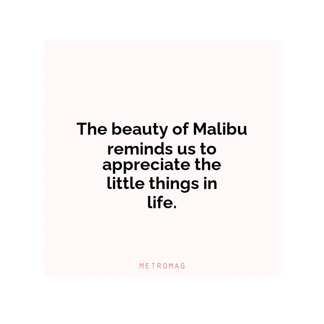 The beauty of Malibu reminds us to appreciate the little things in life.