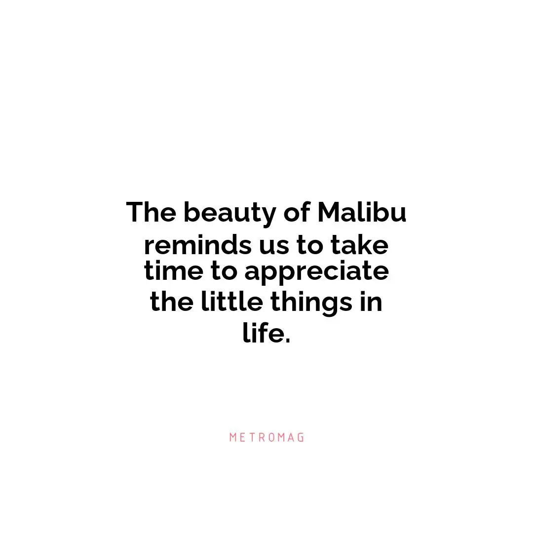 The beauty of Malibu reminds us to take time to appreciate the little things in life.