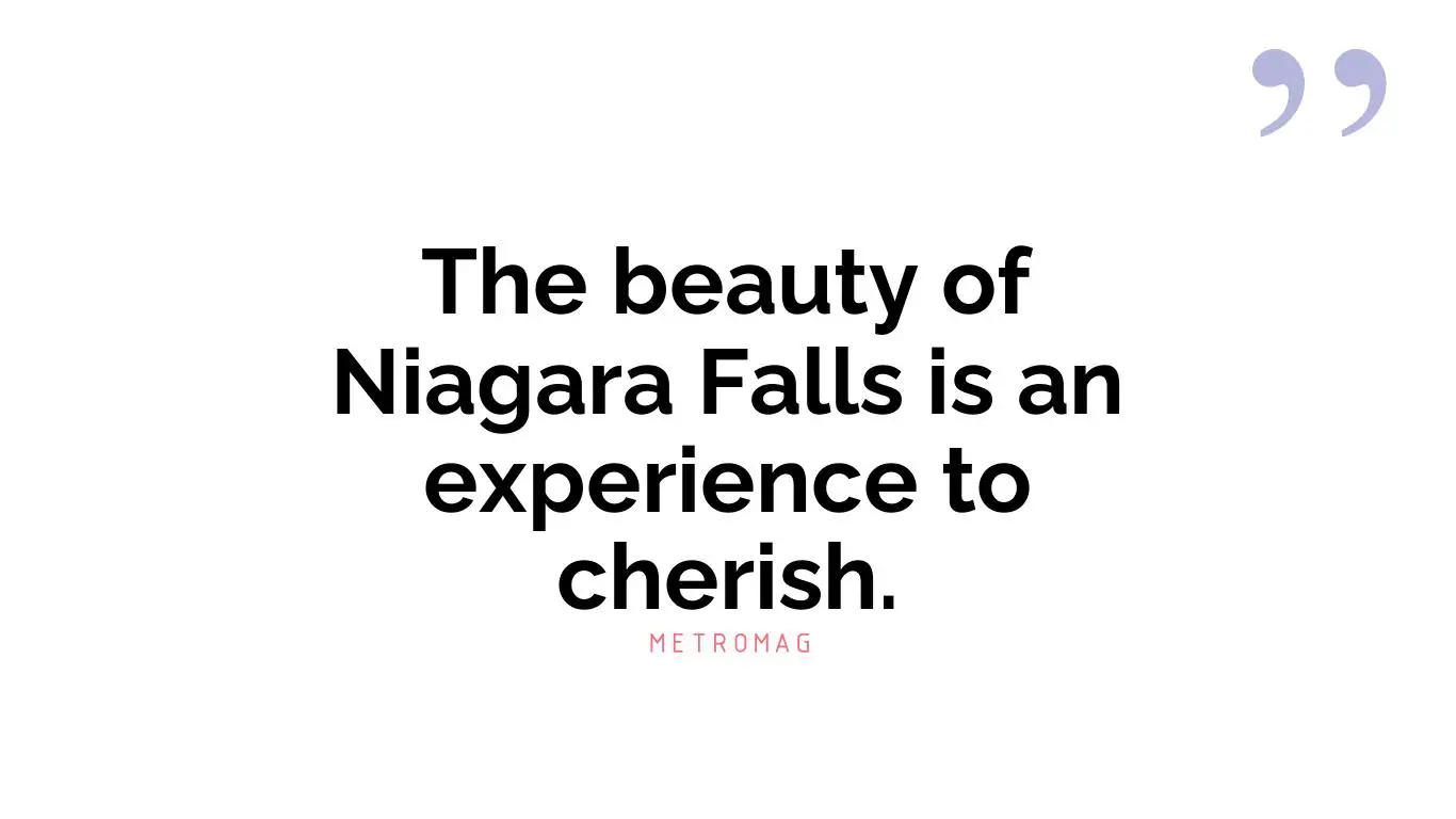 The beauty of Niagara Falls is an experience to cherish.