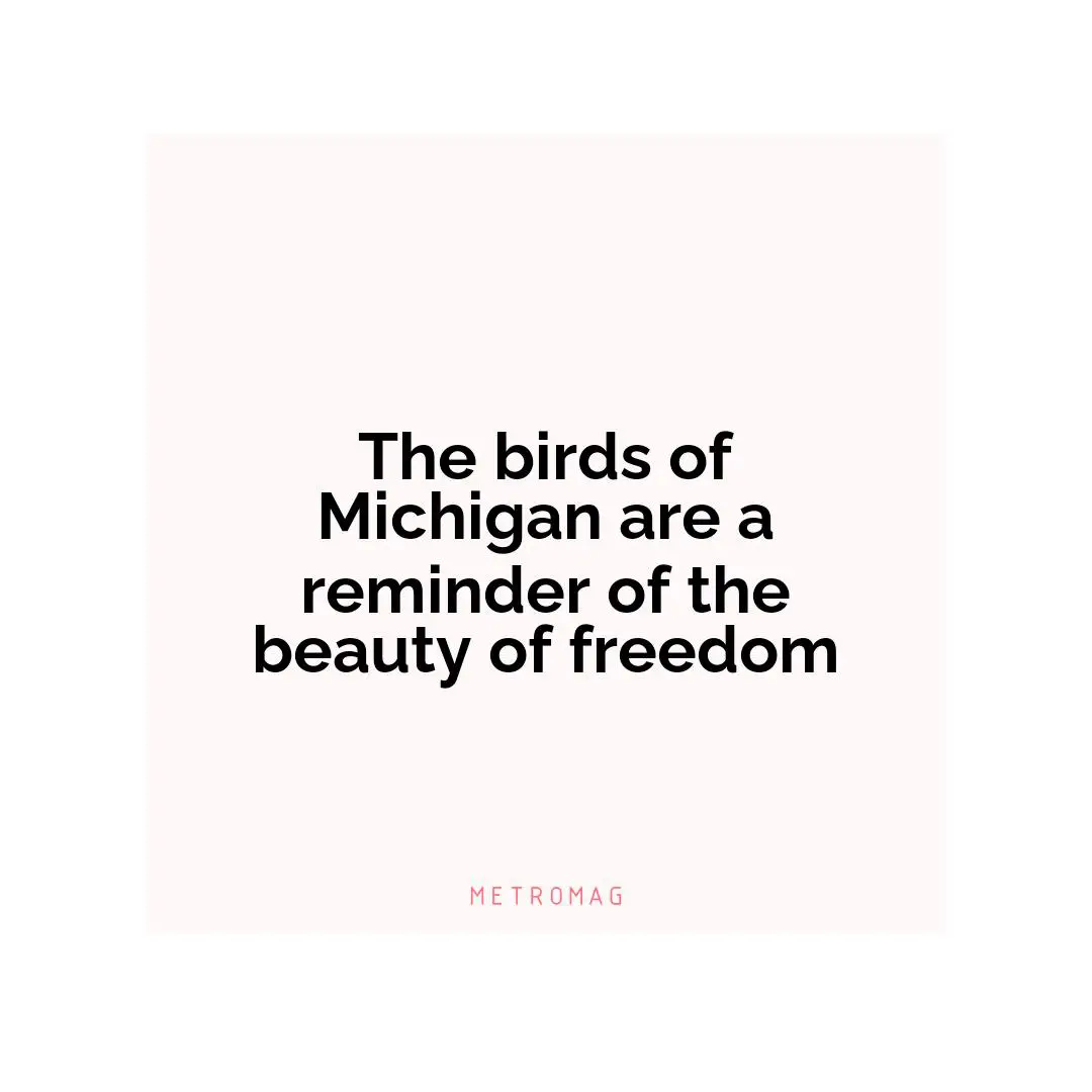The birds of Michigan are a reminder of the beauty of freedom