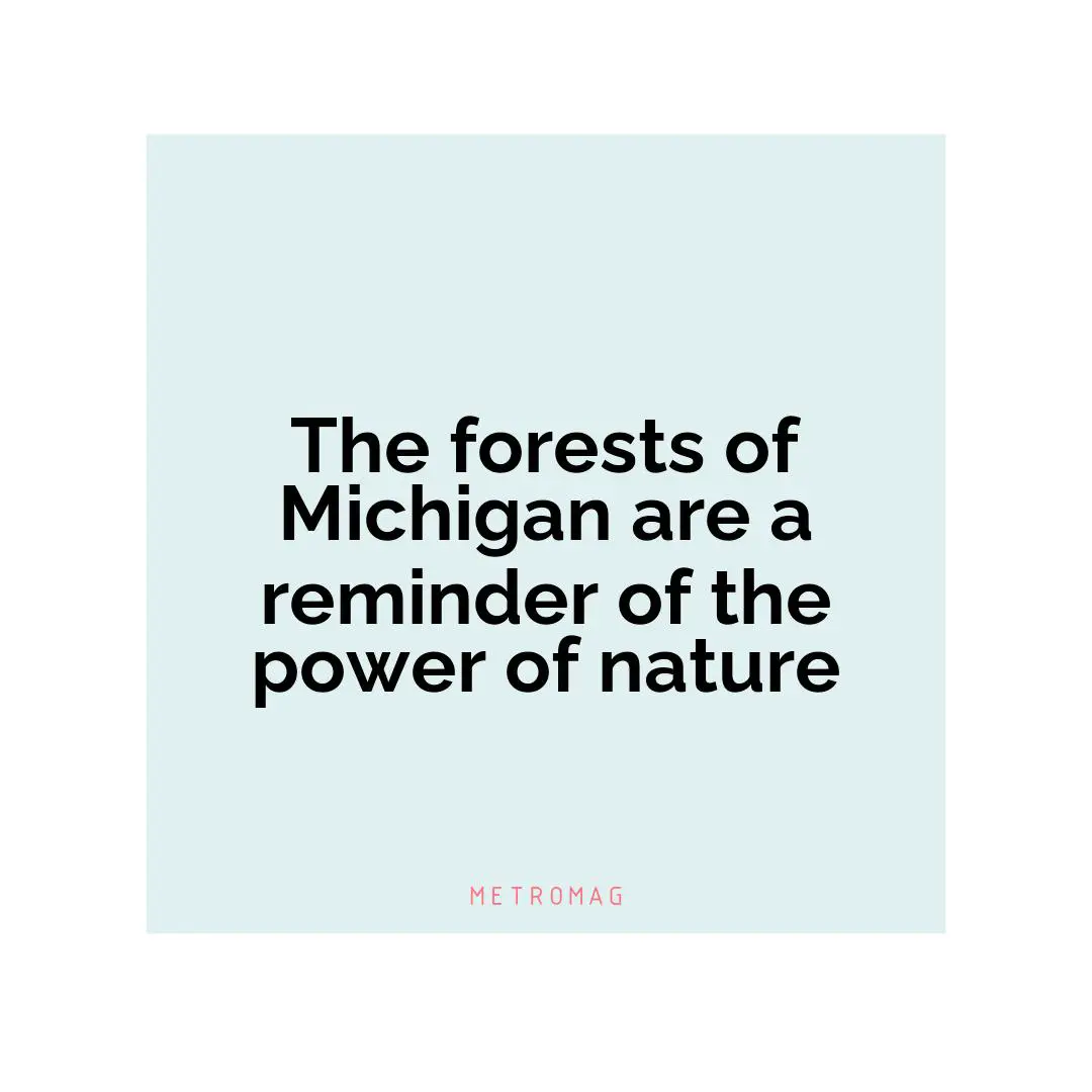 The forests of Michigan are a reminder of the power of nature