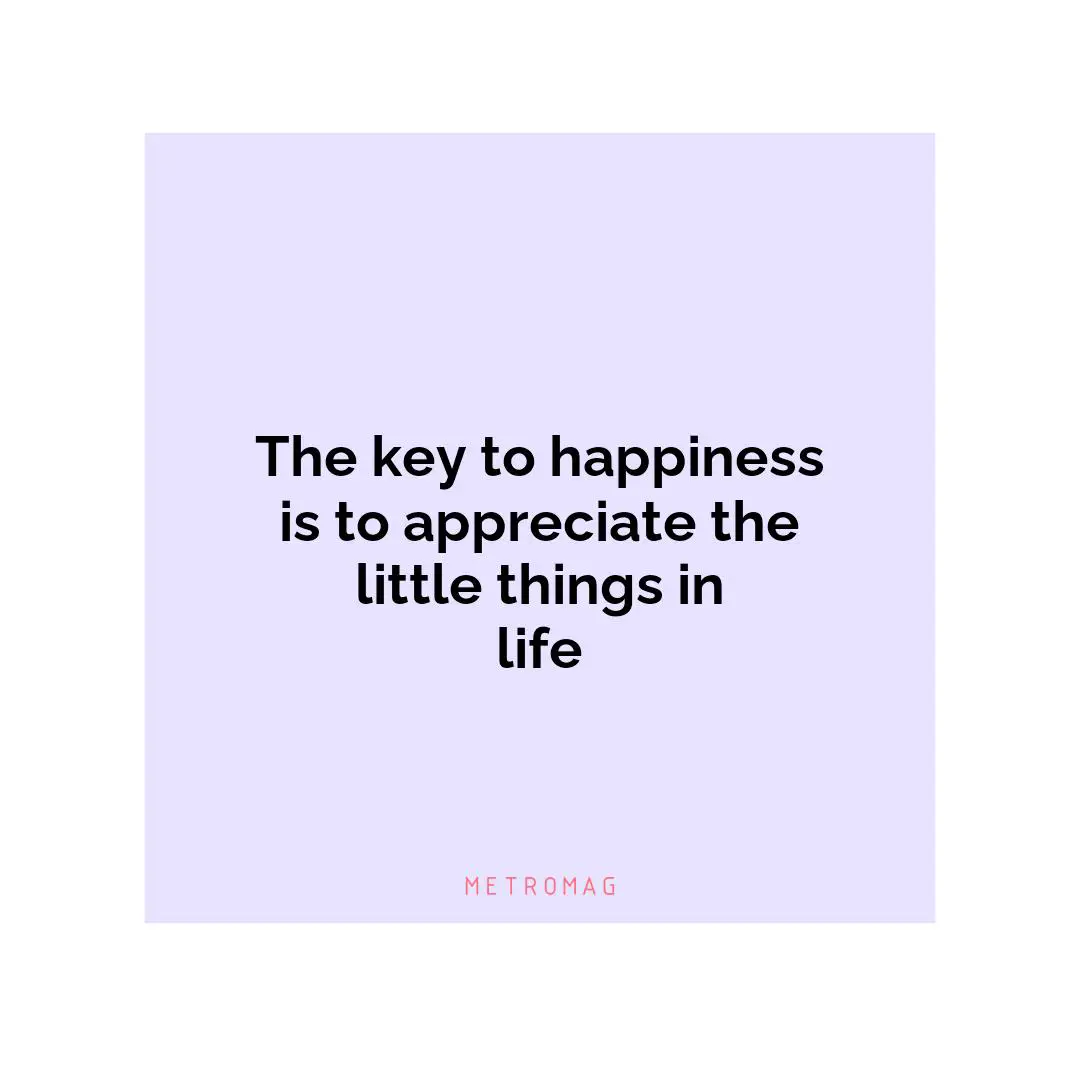 The key to happiness is to appreciate the little things in life