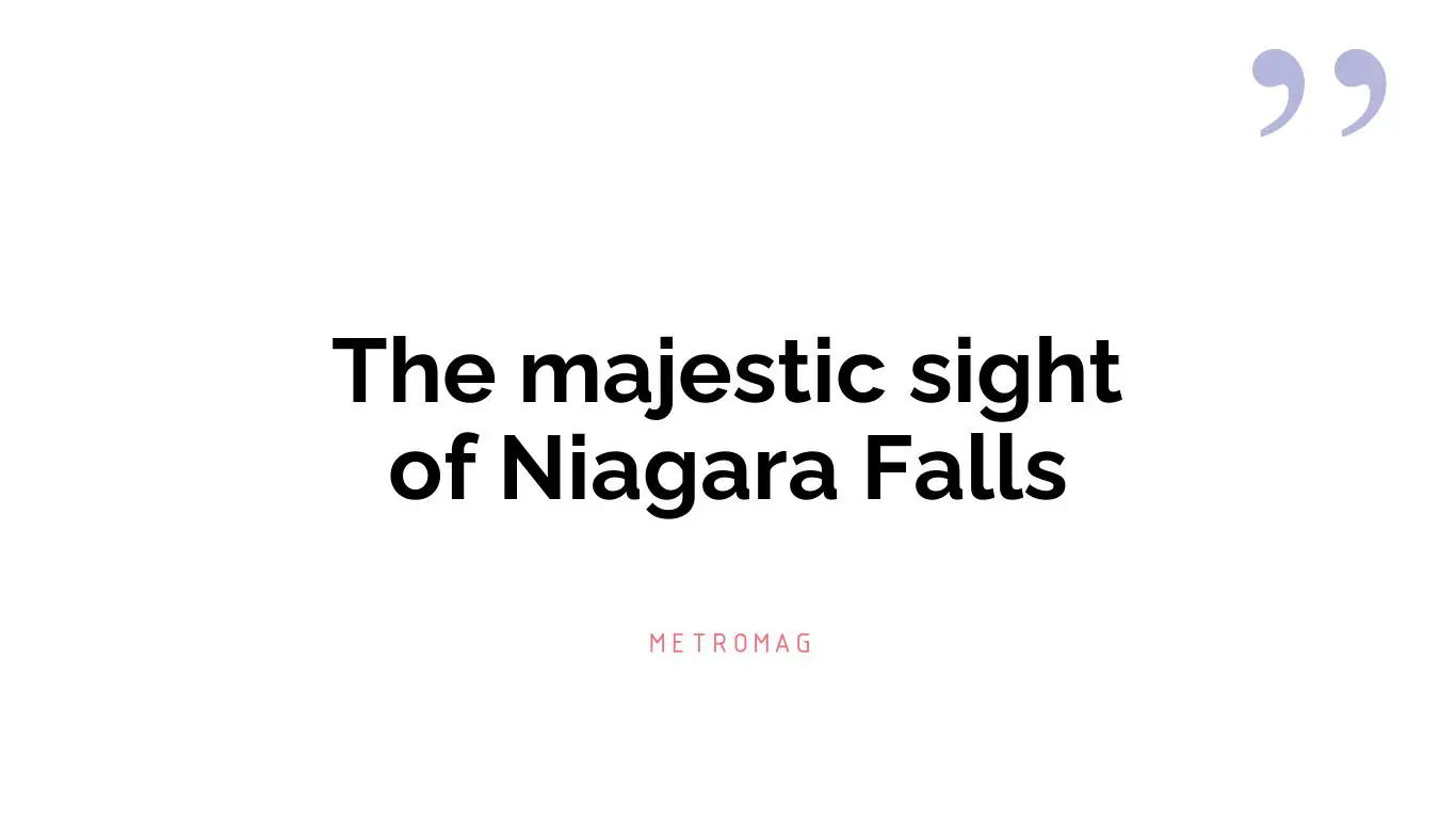 The majestic sight of Niagara Falls