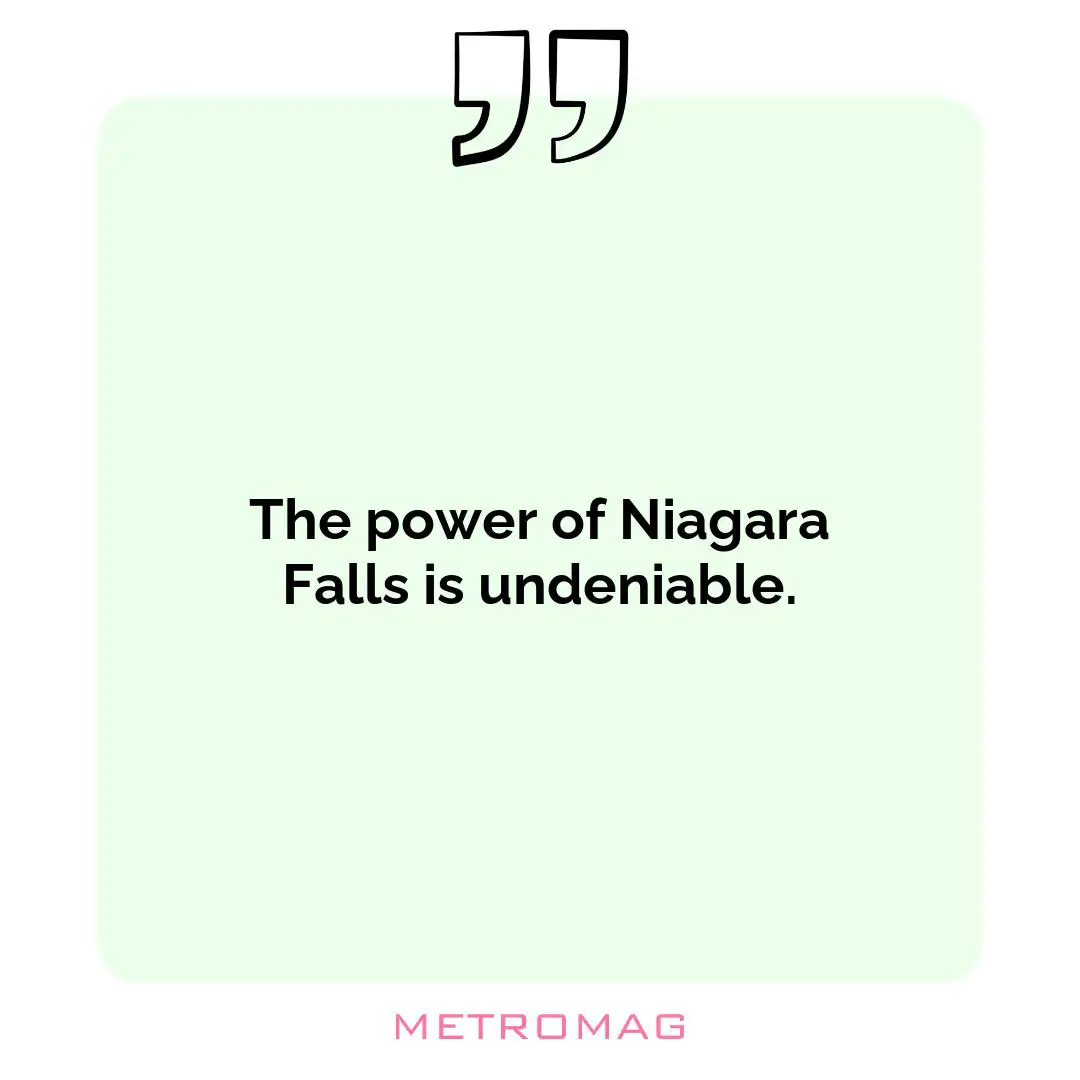 The power of Niagara Falls is undeniable.