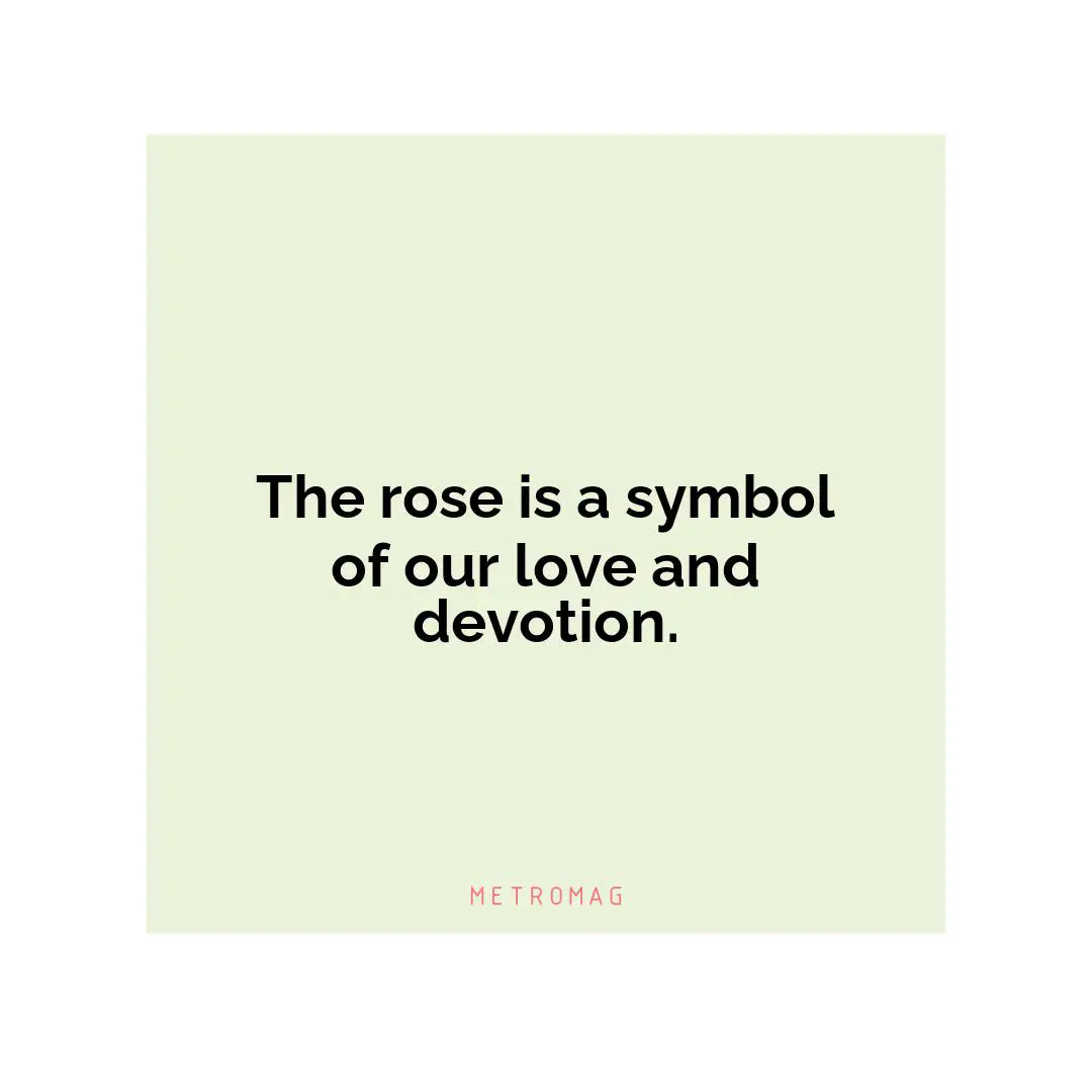 The rose is a symbol of our love and devotion.