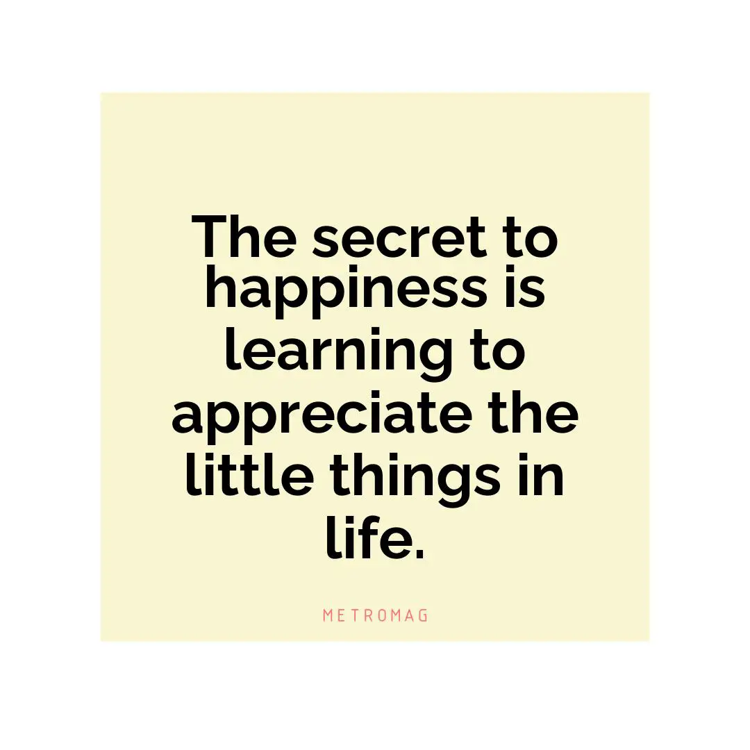 The secret to happiness is learning to appreciate the little things in life.