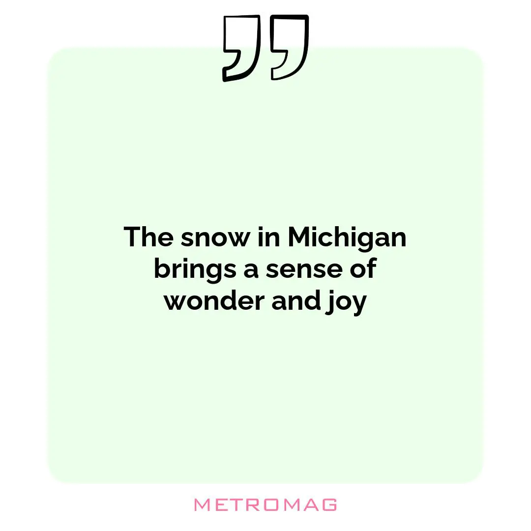 The snow in Michigan brings a sense of wonder and joy