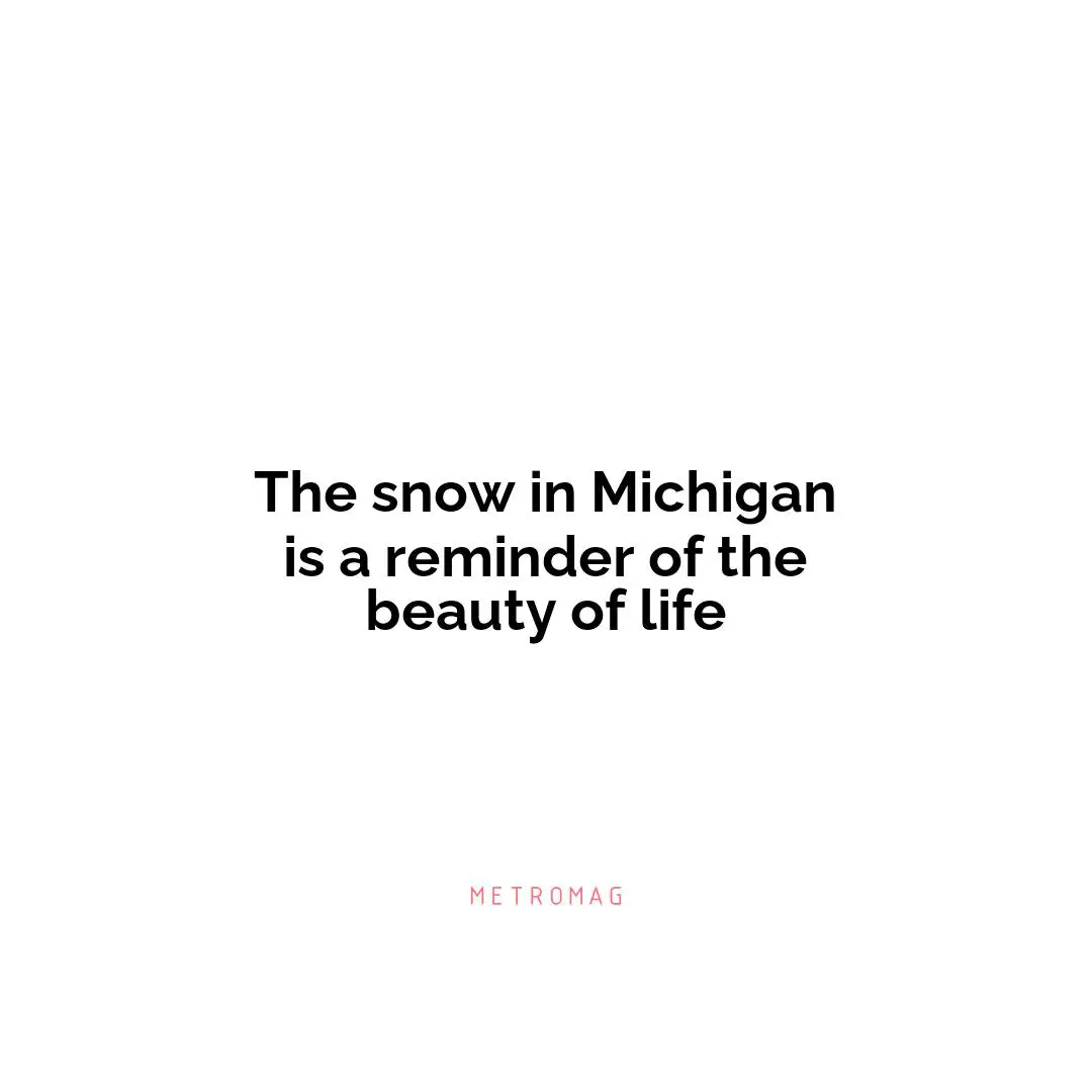 The snow in Michigan is a reminder of the beauty of life