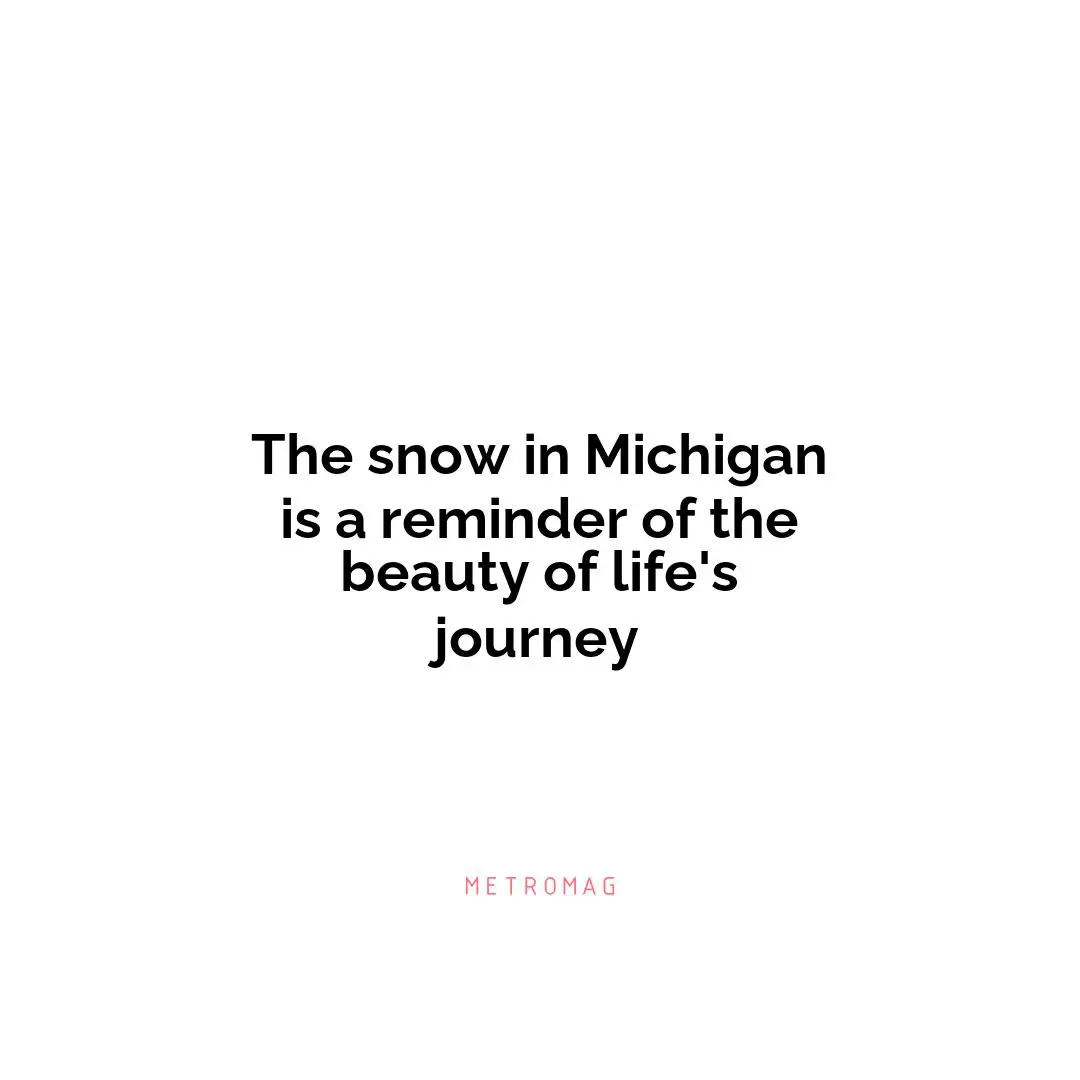 The snow in Michigan is a reminder of the beauty of life's journey