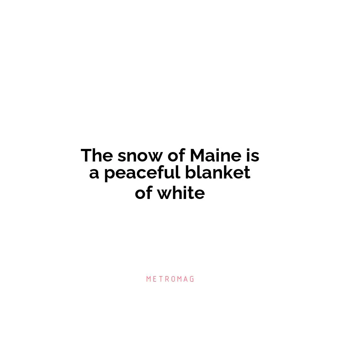 The snow of Maine is a peaceful blanket of white