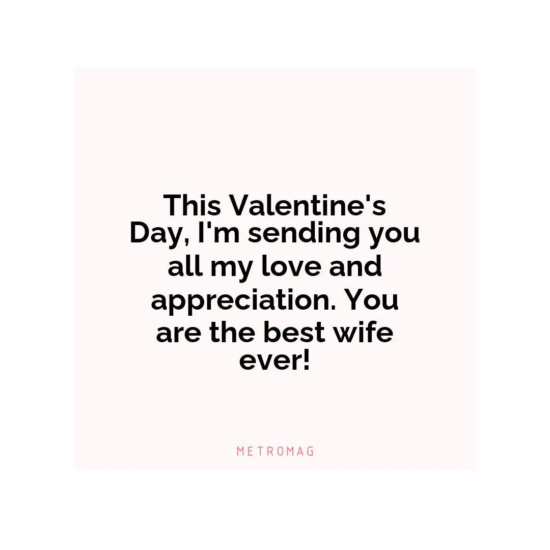 This Valentine's Day, I'm sending you all my love and appreciation. You are the best wife ever!
