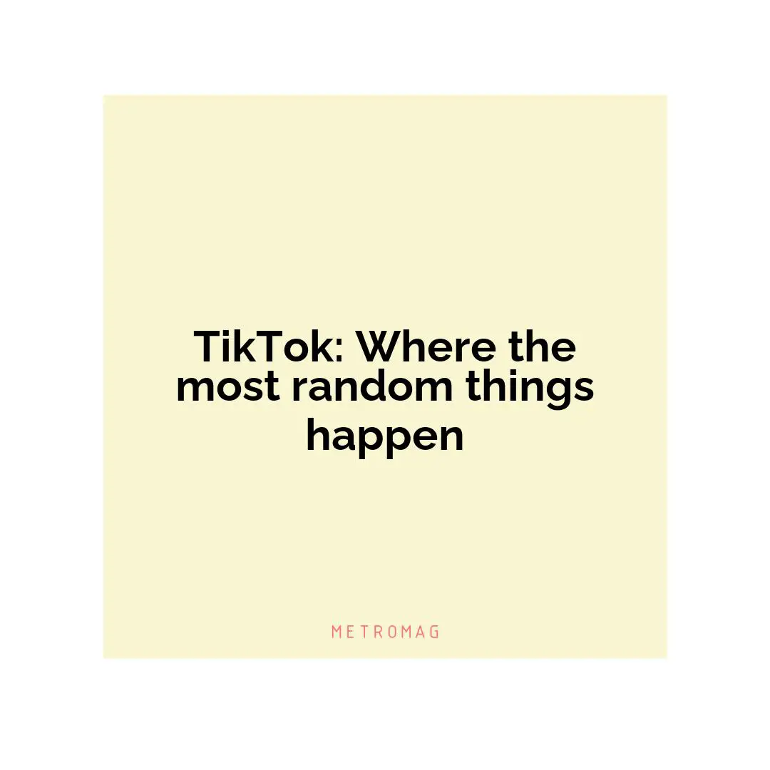 TikTok: Where the most random things happen