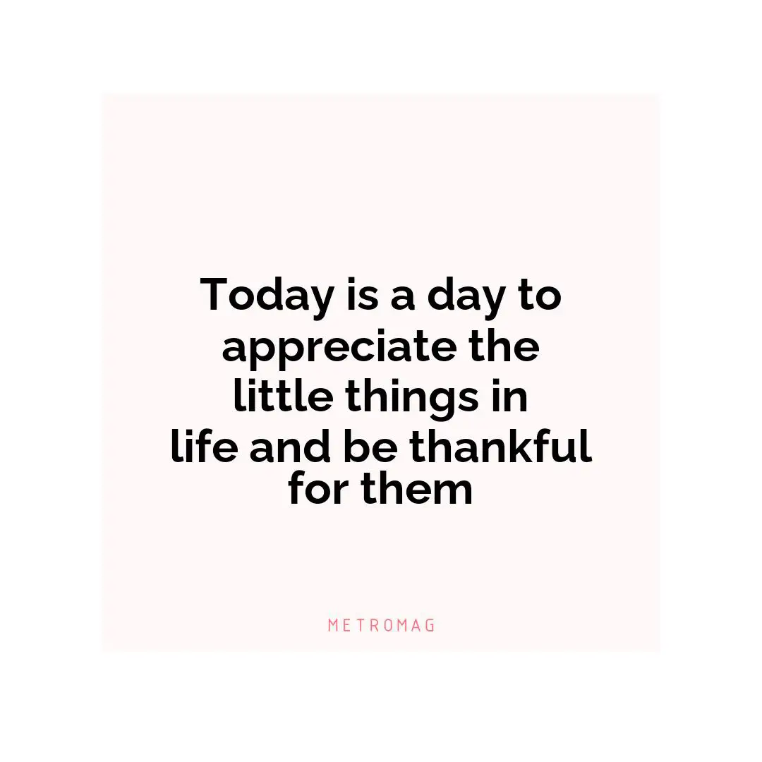 Today is a day to appreciate the little things in life and be thankful for them