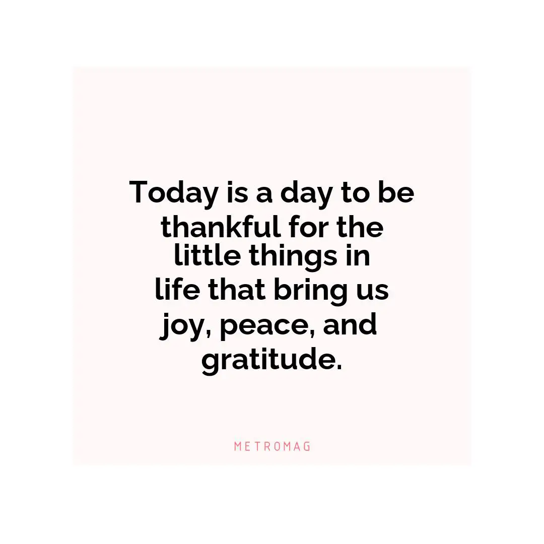 Today is a day to be thankful for the little things in life that bring us joy, peace, and gratitude.